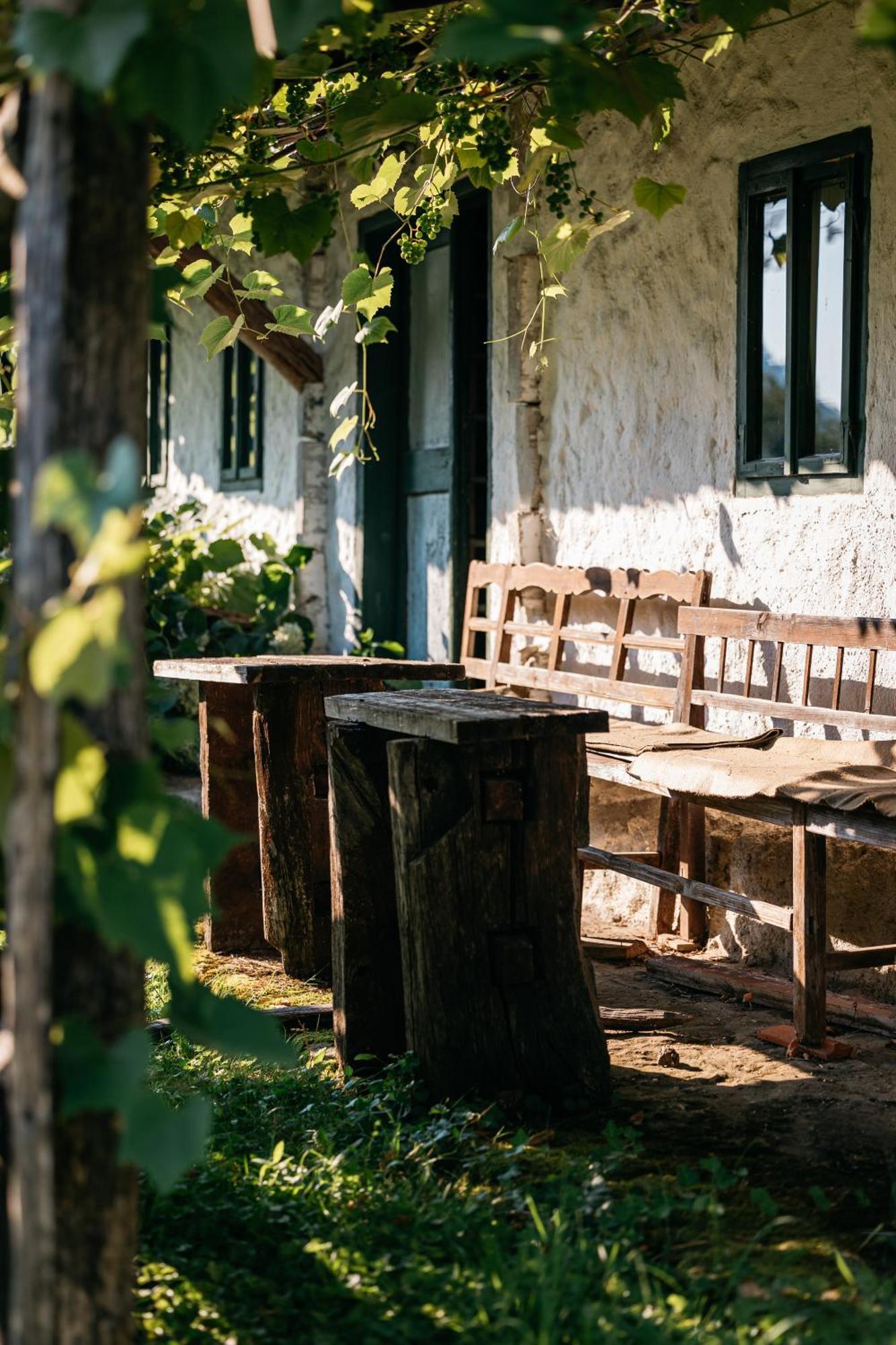 Pomona Relaxing Nature Guest House Rogaška Slatina Dış mekan fotoğraf